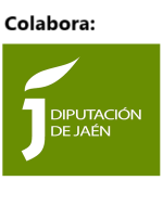 Logo Diputación de Jaén