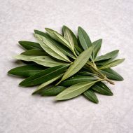 hoja de Olivo , seca y envasada variedad "Acebuche" (pide otra variedad)