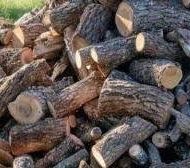 sacos de leña de encina